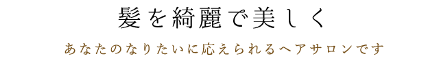 キレイな髪はあなたを好印象のかえる